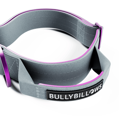 4cm Lighter Combat® Collar | With Handle & Secure Clip - Purple & Metal Grey