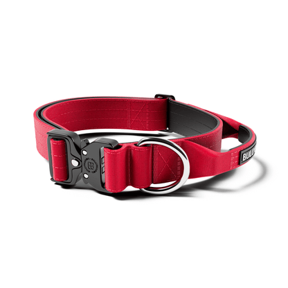 4cm Combat® Collar | With Handle & Secure Clip