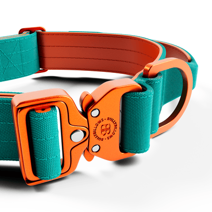 4cm Lighter Combat® Collar | With Handle & Secure Clip - Turquoise & Orange