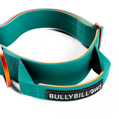 4cm Lighter Combat® Collar | With Handle & Secure Clip - Turquoise & Orange