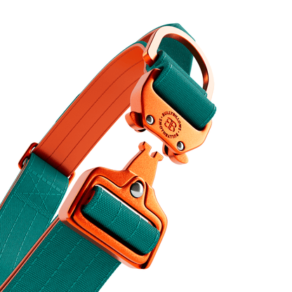 4cm Lighter Combat® Collar | With Handle & Secure Clip - Turquoise & Orange