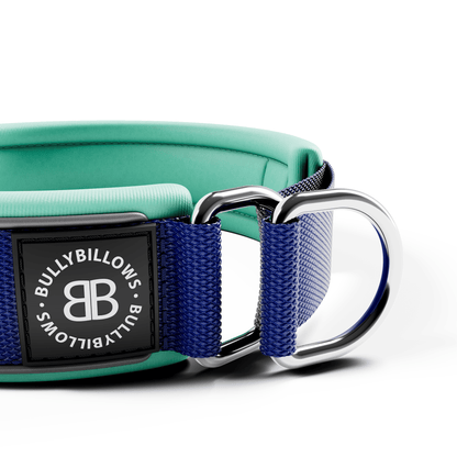 5cm Slip on Collar | Foam Padded - Blue x Turquoise