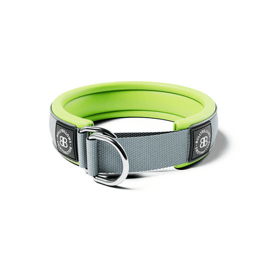 4cm Slip on Collar | Foam Padded