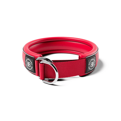 4cm Slip on Collar | Foam Padded