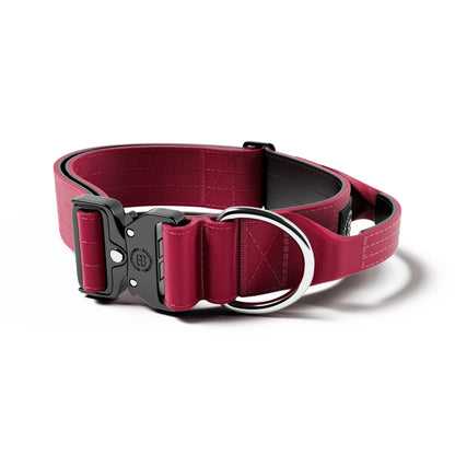 5cm Combat® Collar | With Handle & Secure Clip