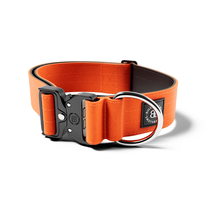 5cm Combat® Collar | NO Handle & Secure Clip
