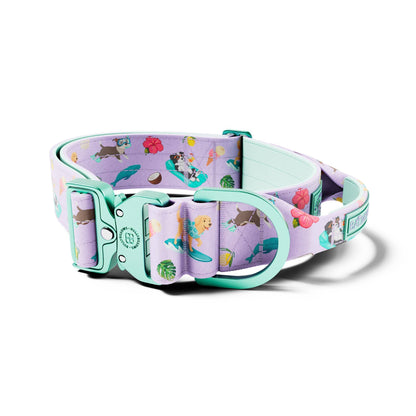5cm Lighter Combat® Collar | With Handle & Secure Clip - Prismra Purple