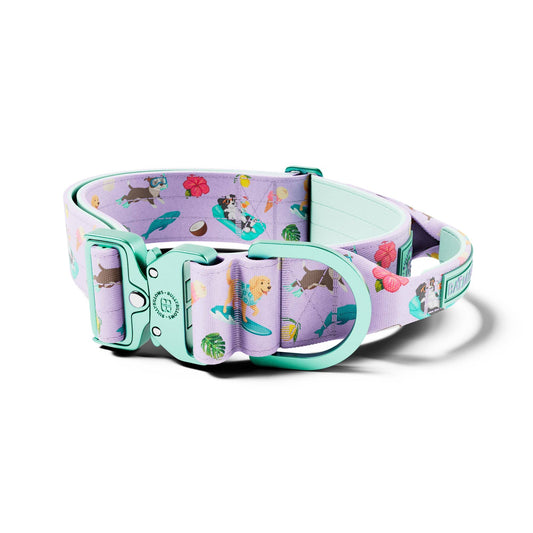 5cm Lighter Combat® Collar | With Handle & Secure Clip - Prismra Purple