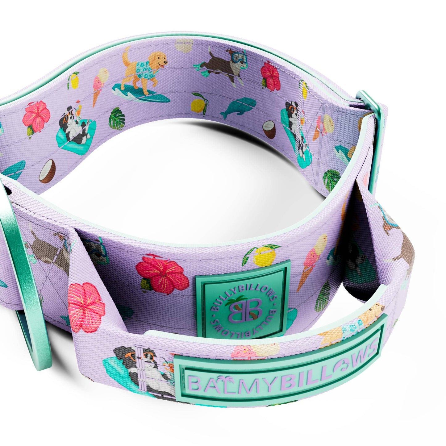 5cm Lighter Combat® Collar | With Handle & Secure Clip - Prismra Purple