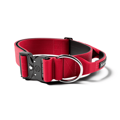 5cm Combat® Collar | With Handle & Secure Clip