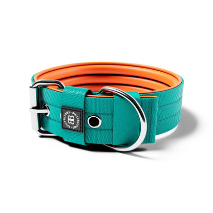 5cm Nylon Dog Collar | No Handle - Turquoise & Orange