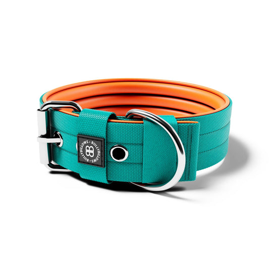 5cm Nylon Dog Collar | No Handle - Turquoise & Orange
