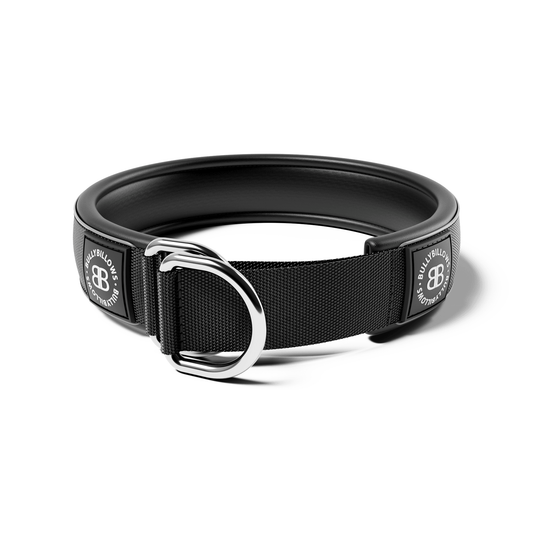 5cm Slip on Collar | Foam Padded