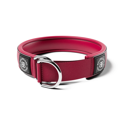 5cm Slip on Collar | Foam Padded