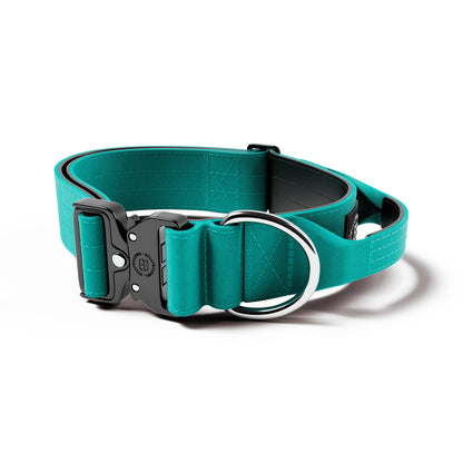 5cm Combat® Collar | With Handle & Secure Clip