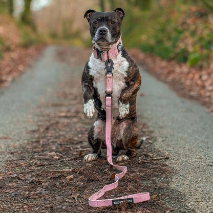 5cm Combat Waterproof Collar | Billowthane®