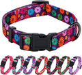 Floral Dog Collar Large by Prismra