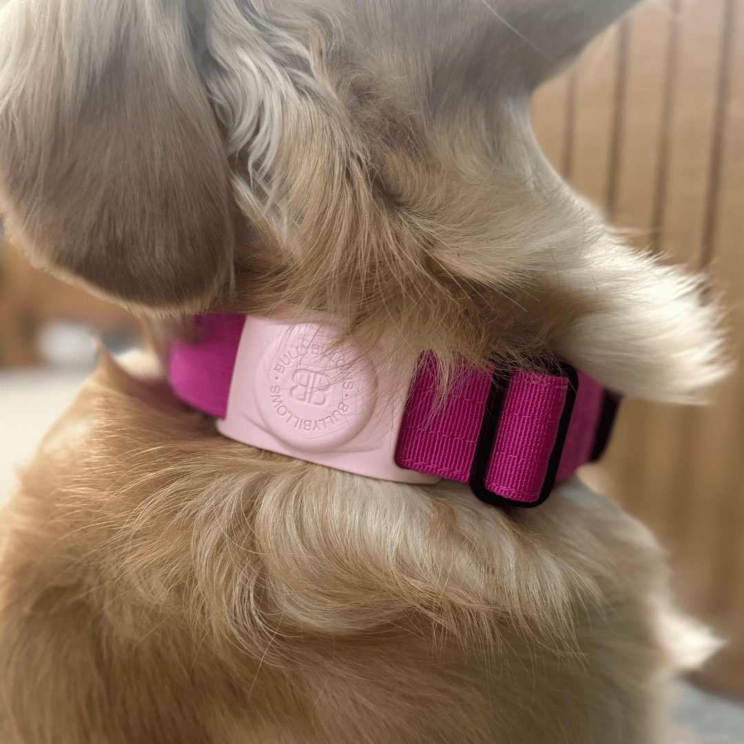 Air Tag Holder