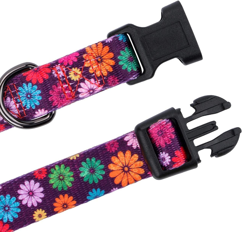 Floral Dog Collar Large by Prismra