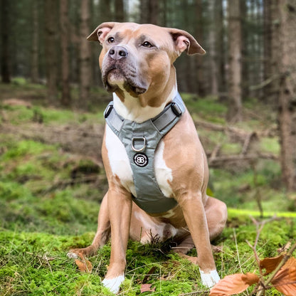 Air Harness | Anti-Pull & With Handle - Olive Green