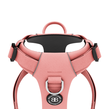 Air Harness & Training Lead Bundle - Pink