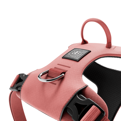 Air Harness & Training Lead Bundle - Pink