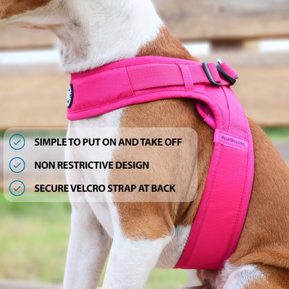 Boomerang Harness - XS-M Breeds - Carminerose