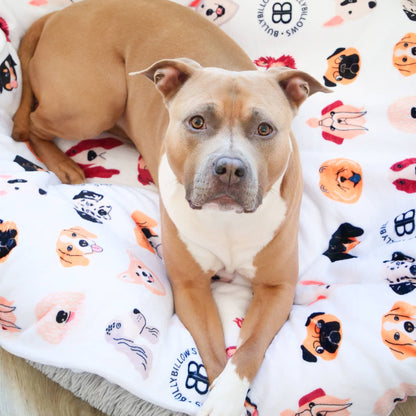 White Edition | Luxury Human & Dog Blanket