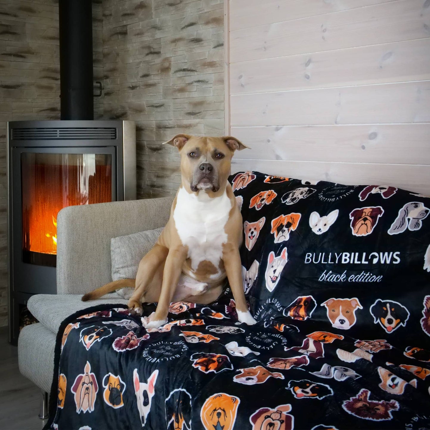 Black Edition | Luxury Human & Dog Blanket