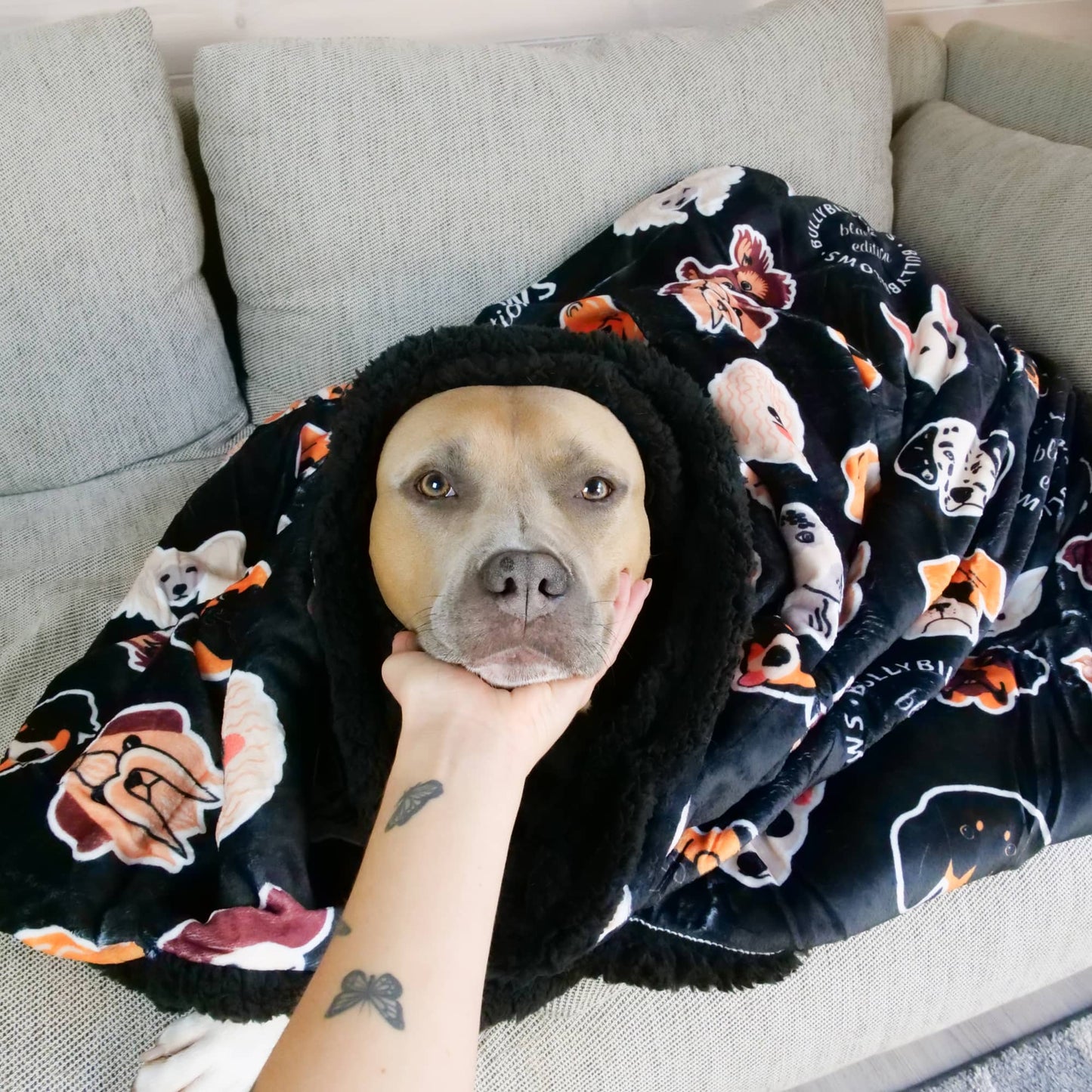 Black Edition | Luxury Human & Dog Blanket