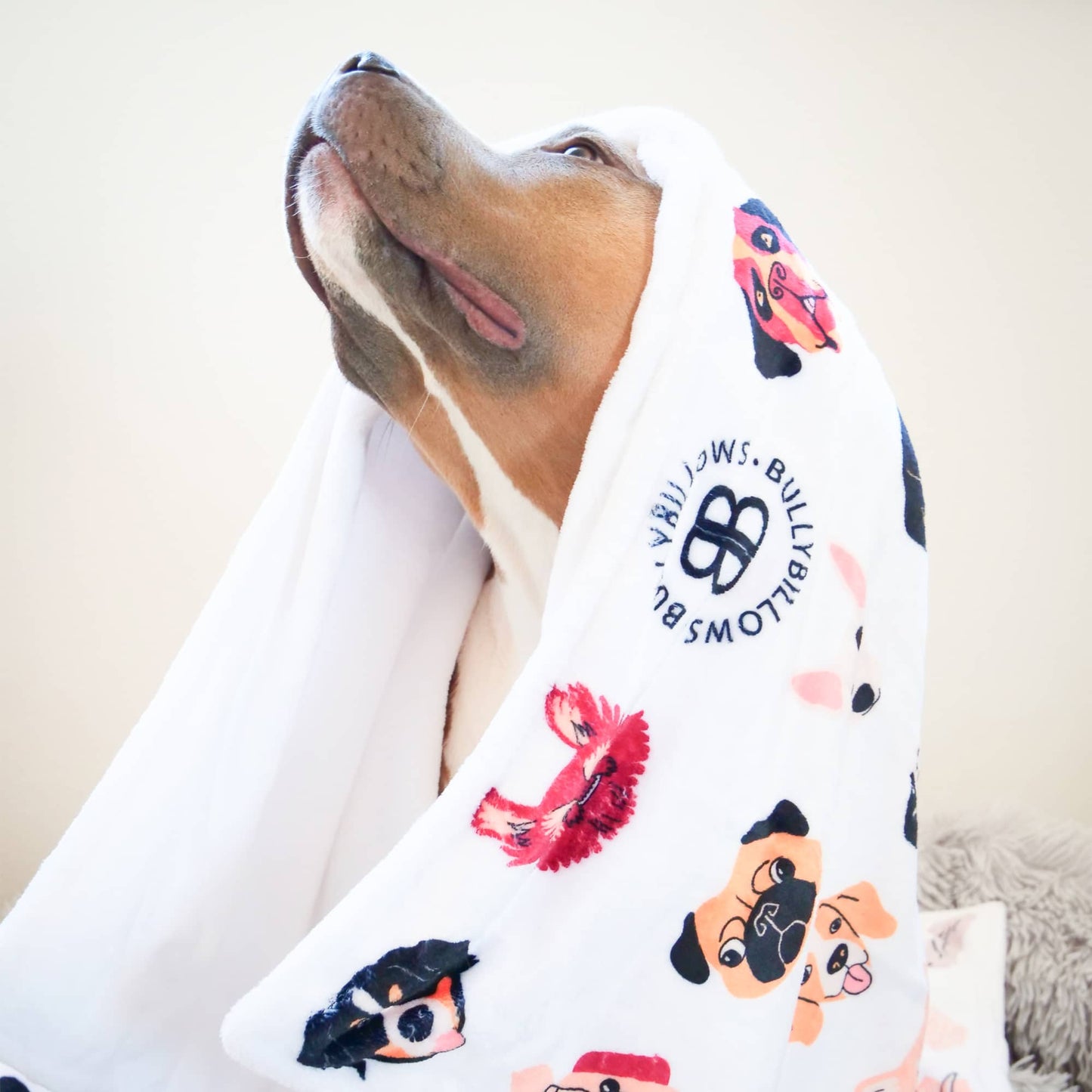 White Edition | Luxury Human & Dog Blanket