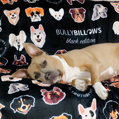 Black Edition | Luxury Human & Dog Blanket