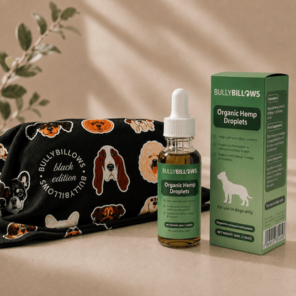 Wellness Comfort Bundle - Blanket & Hemp Supplement