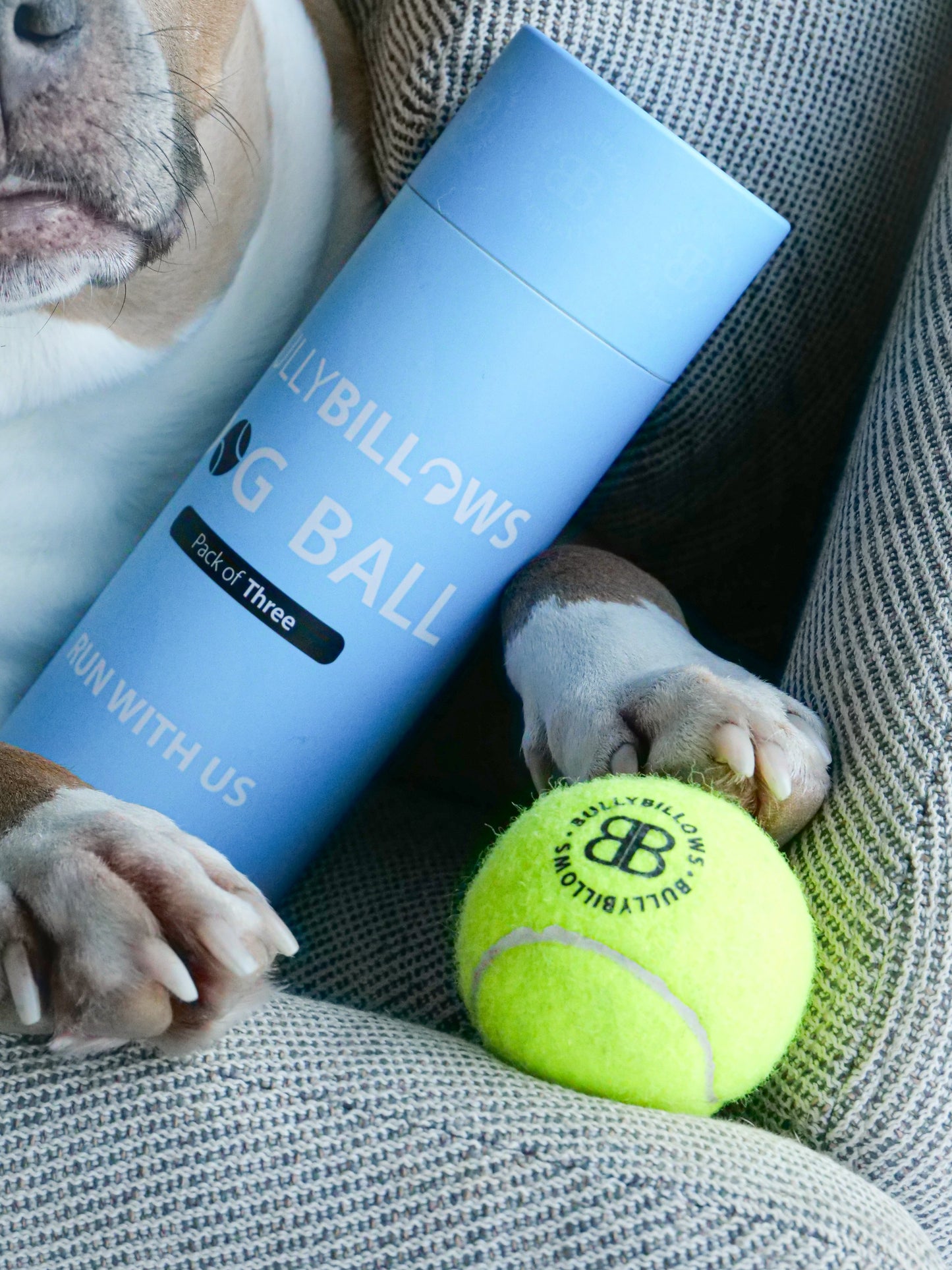 Dog Tennis Balls