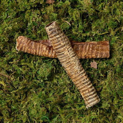 Beef Trachea