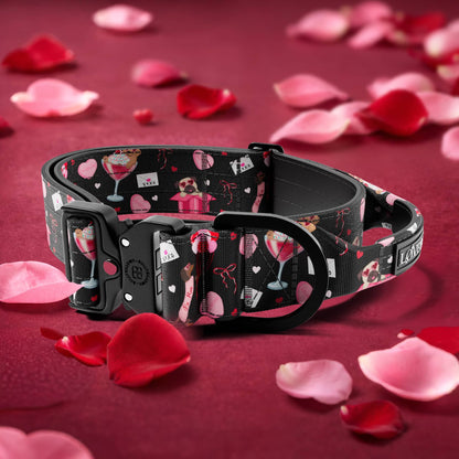 5cm Lighter Combat® Collar | With Handle & Secure Clip
