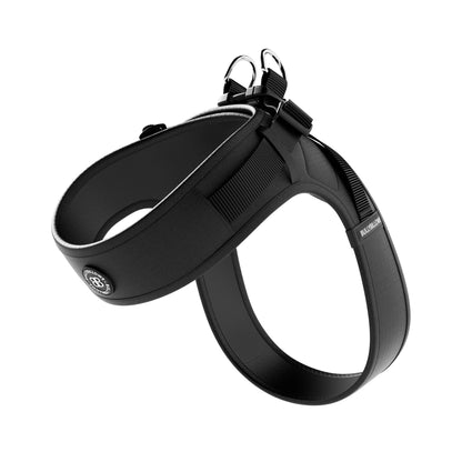Boomerang Harness | XS-M Breeds