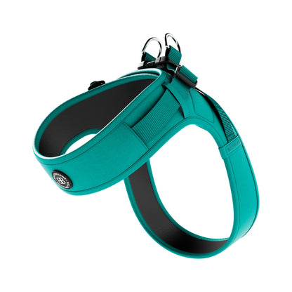 Boomerang Harness | XS-M Breeds