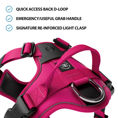 Anti Pull Hurricane Harness Lighter | With Handle - Carminerose