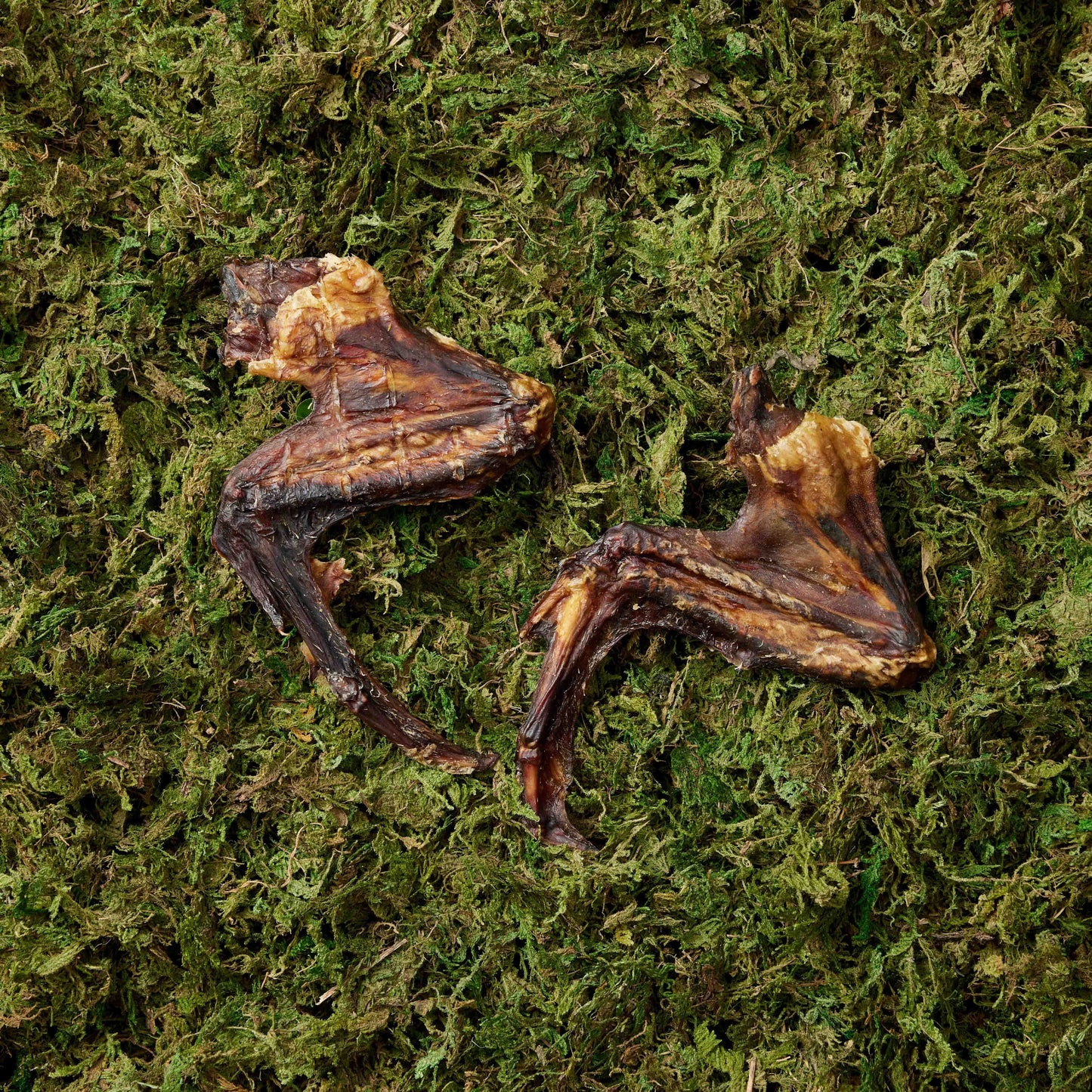 Duck Wings - 2 Pieces