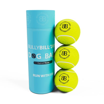 Dog Tennis Balls