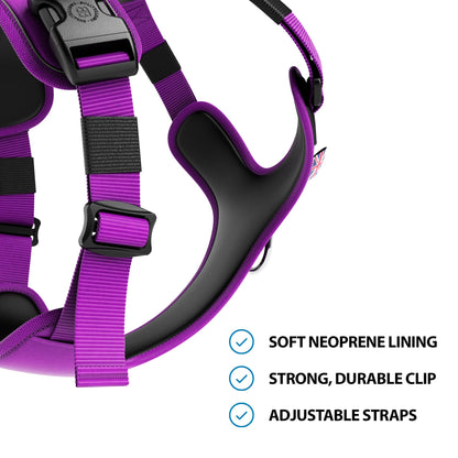 Anti Pull Hurricane Harness Lighter | With Handle - Purple