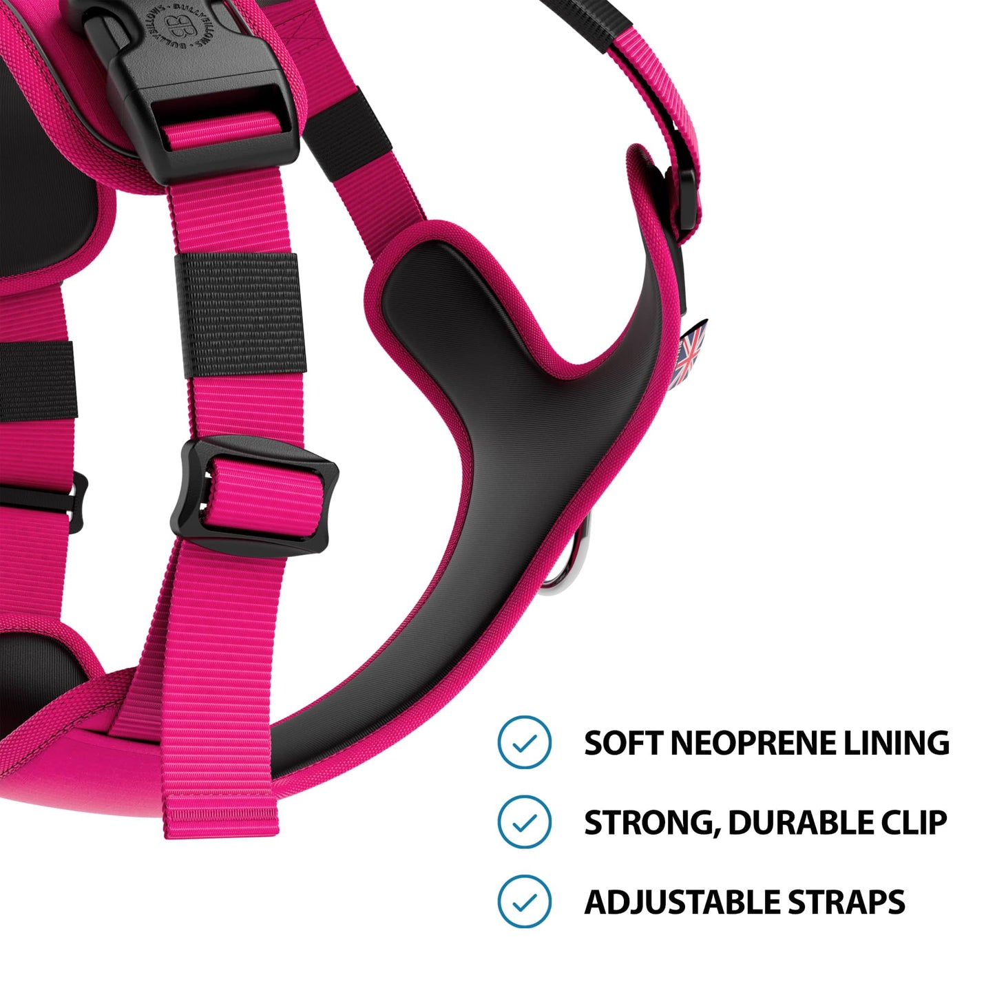Anti Pull Hurricane Harness Lighter | With Handle - Carminerose