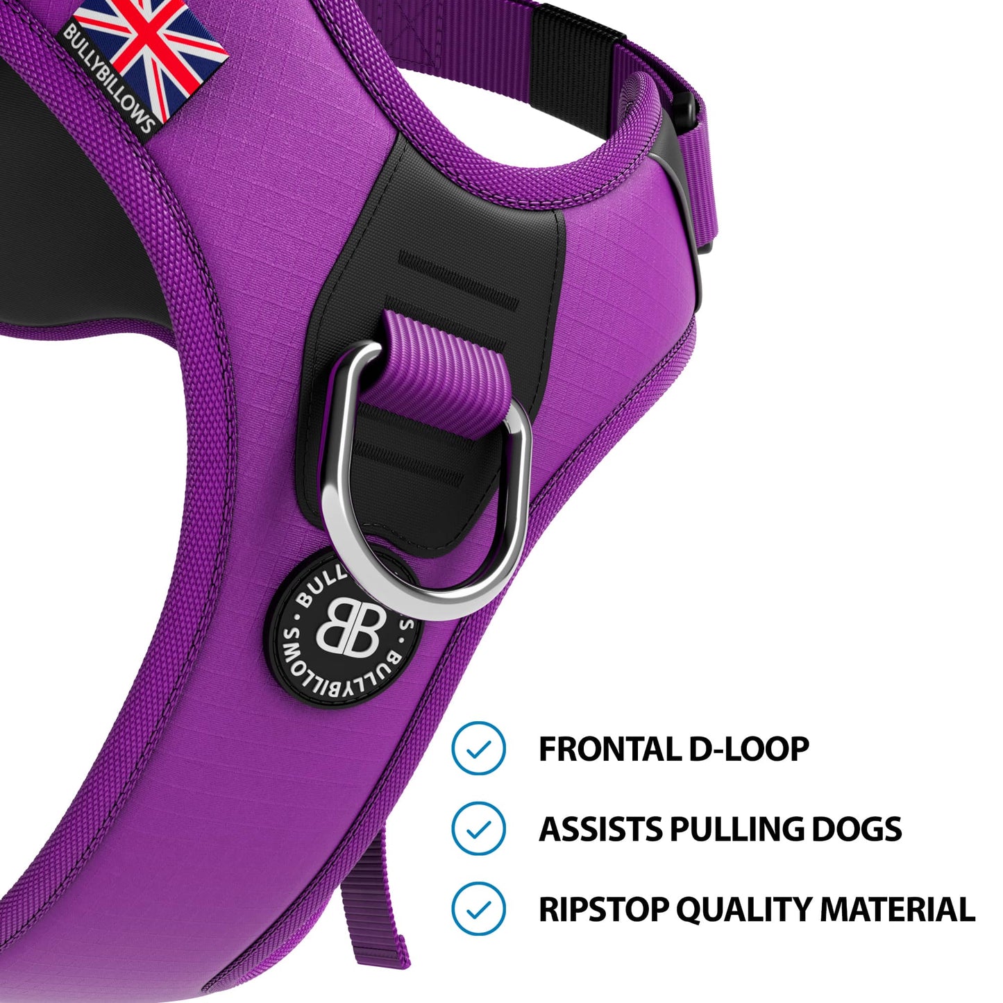 Anti Pull Hurricane Harness Lighter | With Handle - Purple