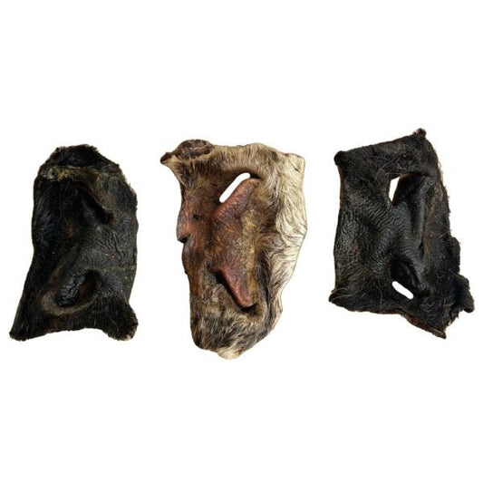 Hairy Beef Snouts - 2 Pieces