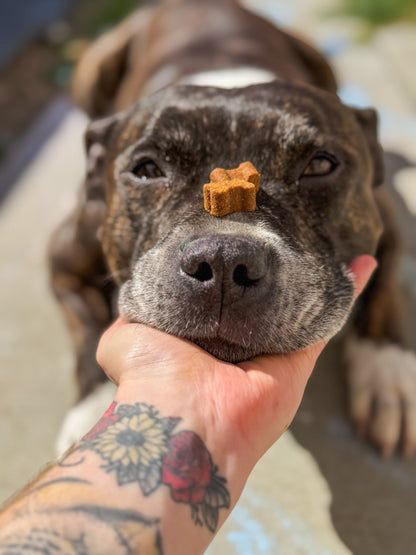 Dog Hip & Joint Chews | Daily Mobility Supplement