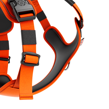 Anti Pull Hurricane Harness Lighter | With Handle - Orange