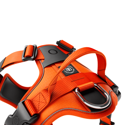 Anti Pull Hurricane Harness Lighter | With Handle - Orange