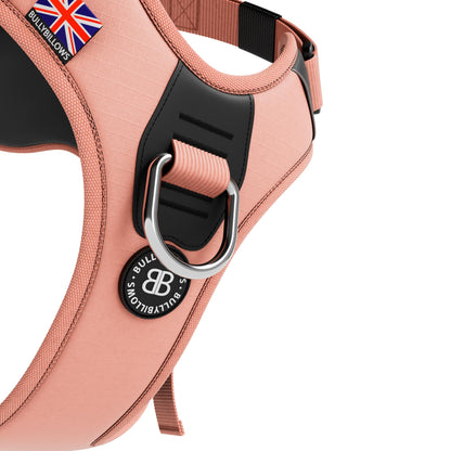 Anti Pull Hurricane Harness Lighter | With Handle - Pink