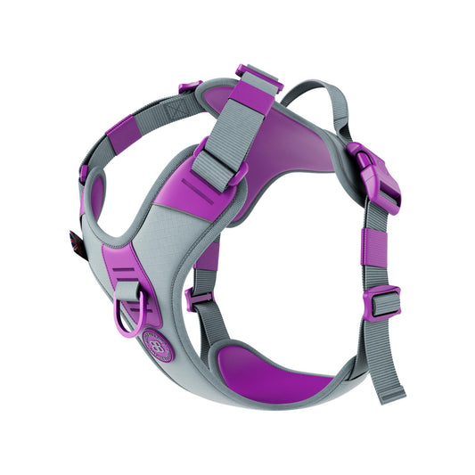 Anti Pull Hurricane Harness Lighter | With Handle - Purple X Metal Grey